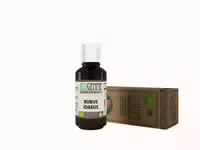 Lenergia Delle Piante Ecogemme Rubus Idaeus