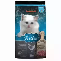 Leonardo Kitten