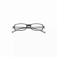 Lesebrille Fertigmontage Twins Silber Doppel 1,00 Twins