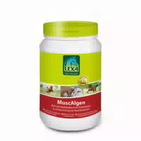 Lexa Pferdefutter Muscalgen
