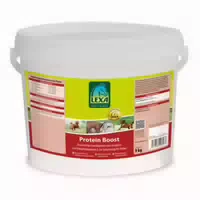 Lexa Pferdefutter Protein Boost