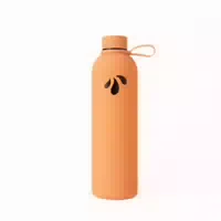 Liqvits Isolierte Trinkflasche Orange