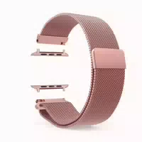 Apple Watch Kompatibles Armband 42 Mm 1 St