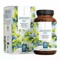 Löwenmähne Brahmi Extrakt Gingko Cholin B Vitamine 120 Vegane Kapseln Gedankengut Naturtreu
