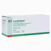 Lohmann & Rauscher Lenkideal Idealbinde, Dauerelastisch, ohne Verbandklammern, Weiß 1 Packung = 10 Stück, Lose im Karton, Maße: 6 cm X 5 m 10 st