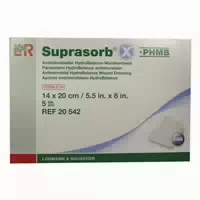 Suprasorb X Phmb Hydrobalance Wundverb 14x20 Cm 5 St Verband