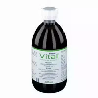 Lomavital Eisen Zink Flüssig 250 ml Flüssigkeit