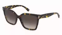 Longchamp Lo802s