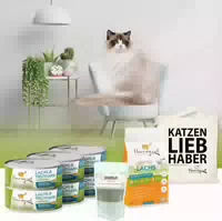 I Love My Cat Sparset Für Ragdoll Nass Und Trockenfutter Mit Lachs Und Truthahn Nahrungsergänzung
