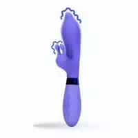 Lovelyness G Punkt Vibrator Protabopia