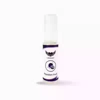 Lovelyness Gleitgel Mit Geschmack Passions Frucht 1 St