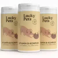 Vitamin B Komplex Für Hunde Mit Allen 7 B Vitaminen Für Starke Nerven & Immunsystem