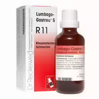 Lumbago Gastreu S R11 Tropfen zum Einnehmen