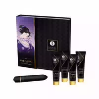 Luxus Set mit Vibrator, Gleitgel, Stimulationscreme | 5 Teilig | Shunga
