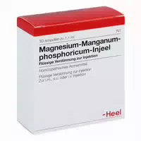 Magnesium Manganum Phosphoricum Injeel Ampullen