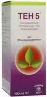 Teh 5 Tropfen Homöopatische Entzündungs und Rheumatropfen 100