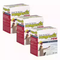 Magnofit Aktiv 300 mg Magnesium Sticks