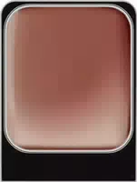 Malu Wilz Camouflage Cream Refill 2 G 06 Walnut