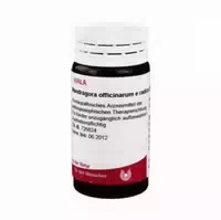 Mandragora Officinale E Radice D 4 G