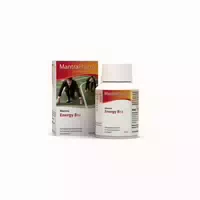 Mantra Energy B12 Kapseln 90 St