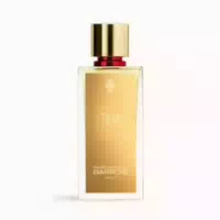 100 ml
