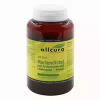 Mariendistel Mit Artischocke Und Löwenzahn Kapseln