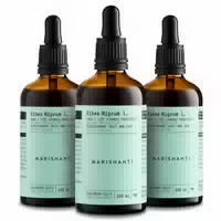 Marishanti Schwarze Johannisbeere Extrakt – Alkoholfrei