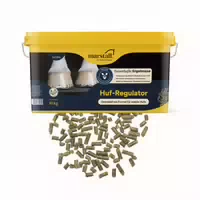 Marstall Huf Regulator