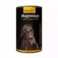 1 kg