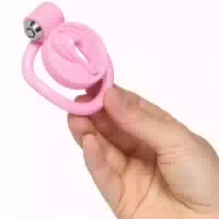 Master Series Pussification Vulva Keuschheitskäfig