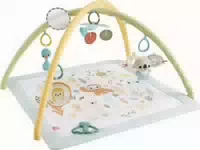 Mattel Fisher Price Sensor Erlebnisdecke