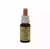 Bachblüten Murnauer Clematis Tropfen 20 Ml