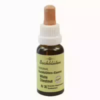 Bachblüten Murnauer White Chestnut Tropf 20 Ml