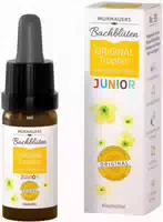 Murnauers Bachblüten Original Junior Tropfen 10 ml Tropfen zum Einnehmen
