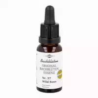 Bachblüten Murnauer Wild Rose Tropfen 20 Ml