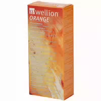 Wellion Orange Invertzuckersirup Beutel 10x13 ml Beutel