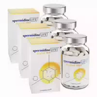 Spermidine Life Original 365 3x60 St Kapseln