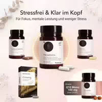 Mental Balance Bundle