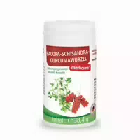 Schisandra Extrakt 250 mg Kapseln