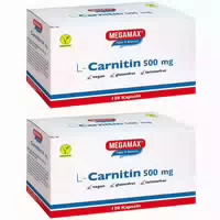 Megamax Figur & Balance l Carnitin 500 mg