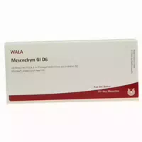 Mesenchym Gl D 6 Ampullen