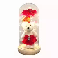 Da Meso Ewige Rose im Glas mit Süßem Teddybär Rose Edle Geschenkbox