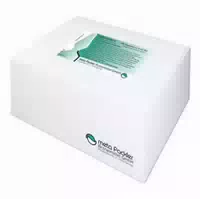 Metavirulent Injektionslösung 100x2 Ml Injektionslösung