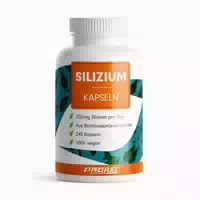 Profuel Silizium