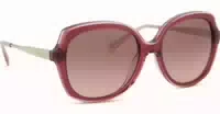 Michael Kors Canary Islands Mk2273u 405201 55