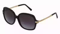 Michael Kors Mk2024 Adrianna Ii