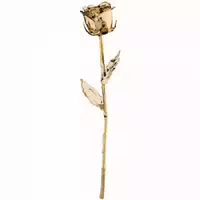 Mikamax Rose In 24k Gold