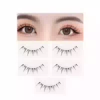 Misslady False Eyelashes B 10mm X 5 Paar Barbie Black