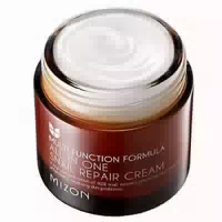 Mizon All in One Snail Repair Cream 75ml