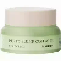Night Haut Cream Phyto Plump Collagen Night Cream